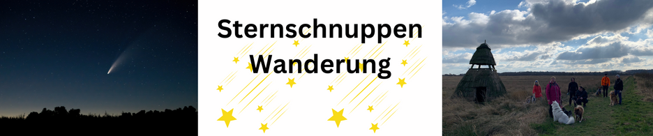 Sternschnuppenwanderung Schleswig-Holstein, Wandern mit Hund, Hundewanderung, Nachtwanderung