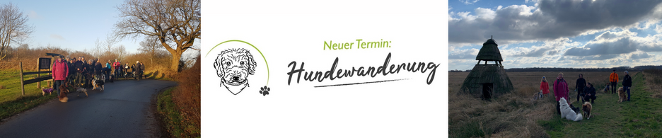 Hundewanderungen Schleswig-Holstein, Wandern mit Hund, Rendsburg, Büdelsdorf
